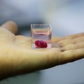 Израильские ученые представляют миниатюрное напечатанное 3D сердце
